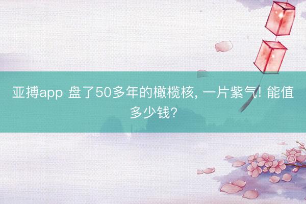 亚搏app 盘了50多年的橄榄核, 一片紫气! 能值多少钱?