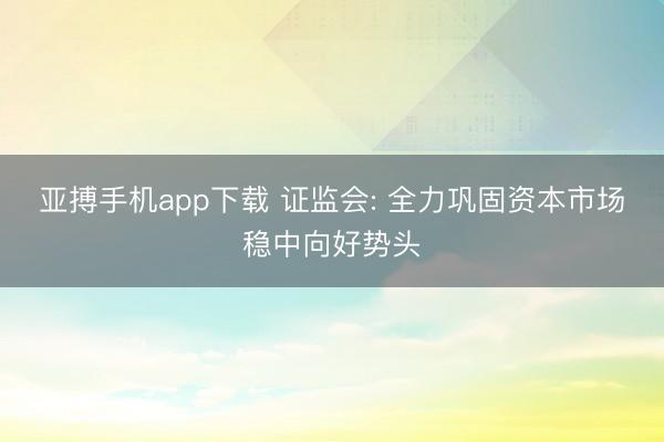 亚搏手机app下载 证监会: 全力巩固资本市场稳中向好势头