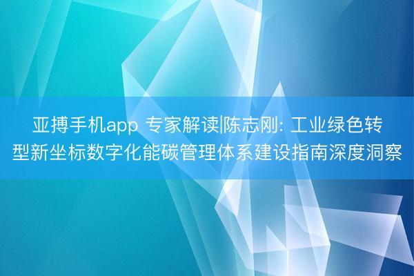 亚搏手机app 专家解读|陈志刚: 工业绿色转型新坐标数字化能碳管理体系建设指南深度洞察
