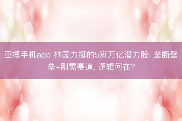 亚搏手机app 林园力挺的5家万亿潜力股: 垄断壁垒+刚需赛道， 逻辑何在?