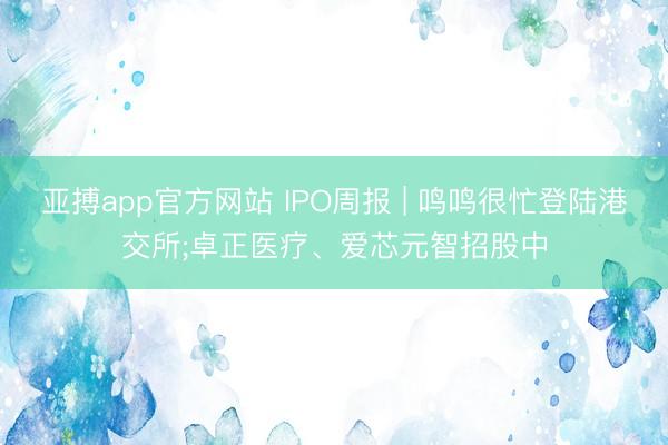 亚搏app官方网站 IPO周报 | 鸣鸣很忙登陆港交所;卓正医疗、爱芯元智招股中