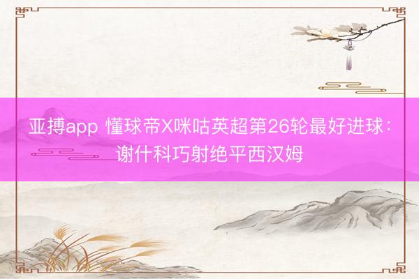 亚搏app 懂球帝X咪咕英超第26轮最好进球：谢什科巧射绝平西汉姆