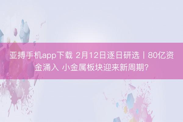 亚搏手机app下载 2月12日逐日研选丨80亿资金涌入 小金属板块迎来新周期?