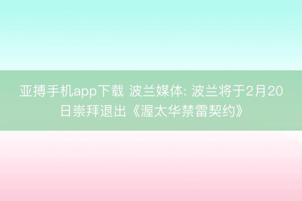 亚搏手机app下载 波兰媒体: 波兰将于2月20日崇拜退出《渥太华禁雷契约》