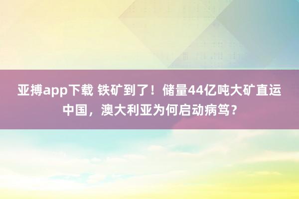 亚搏app下载 铁矿到了！储量44亿吨大矿直运中国，澳大利亚为何启动病笃？