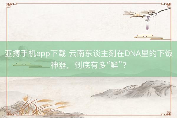 亚搏手机app下载 云南东谈主刻在DNA里的下饭神器,到底有多“鲜”?