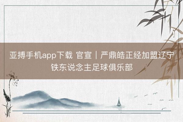 亚搏手机app下载 官宣｜严鼎皓正经加盟辽宁铁东说念主足球俱乐部