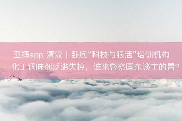 亚搏app 清流｜卧底“科技与狠活”培训机构：化工调味剂泛滥失控，谁来督察国东谈主的胃？