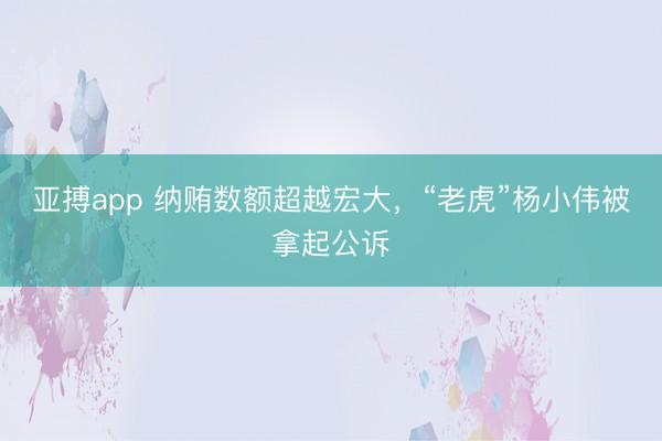 亚搏app 纳贿数额超越宏大,“老虎”杨小伟被拿起公诉