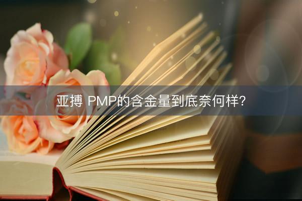 亚搏 PMP的含金量到底奈何样？