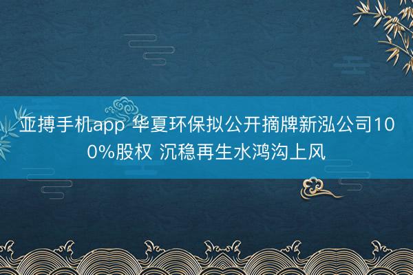 亚搏手机app 华夏环保拟公开摘牌新泓公司100%股权 沉稳再生水鸿沟上风