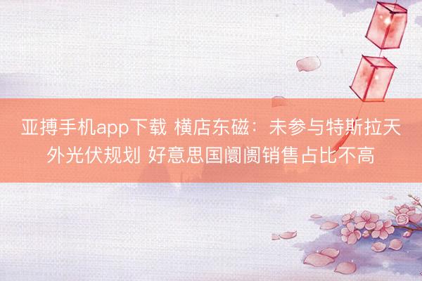亚搏手机app下载 横店东磁：未参与特斯拉天外光伏规划 好意思国阛阓销售占比不高