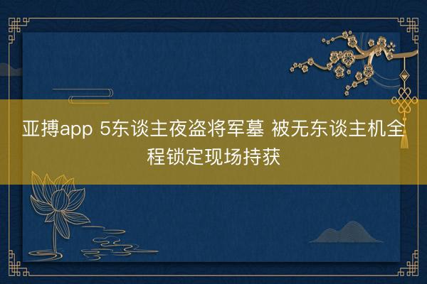 亚搏app 5东谈主夜盗将军墓 被无东谈主机全程锁定现场持获