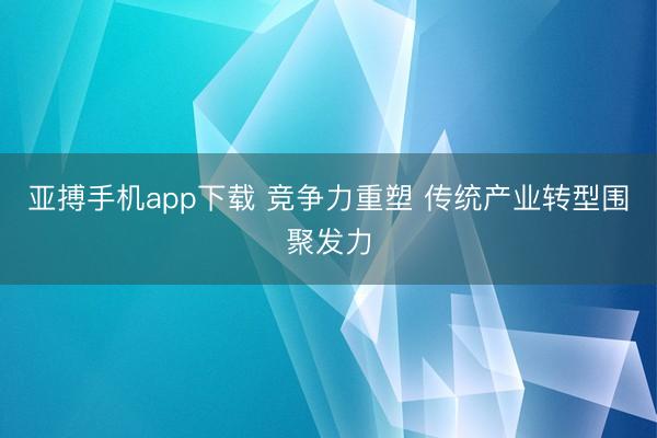 亚搏手机app下载 竞争力重塑 传统产业转型围聚发力