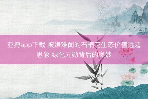 亚搏app下载 被嫌难闻的石楠花生态价值远超思象 绿化元勋背后的奥妙