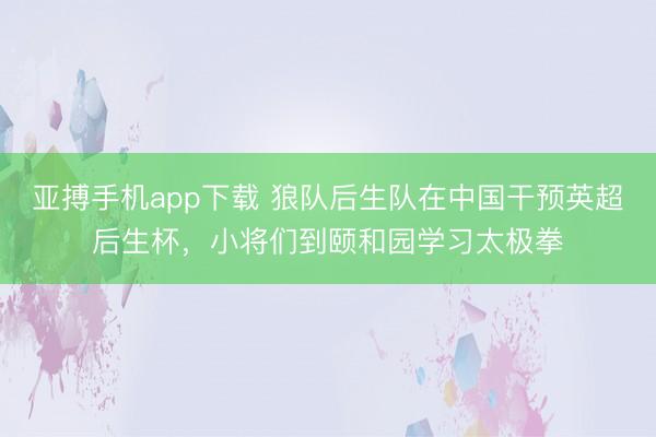 亚搏手机app下载 狼队后生队在中国干预英超后生杯,小将们到颐和园学习太极拳