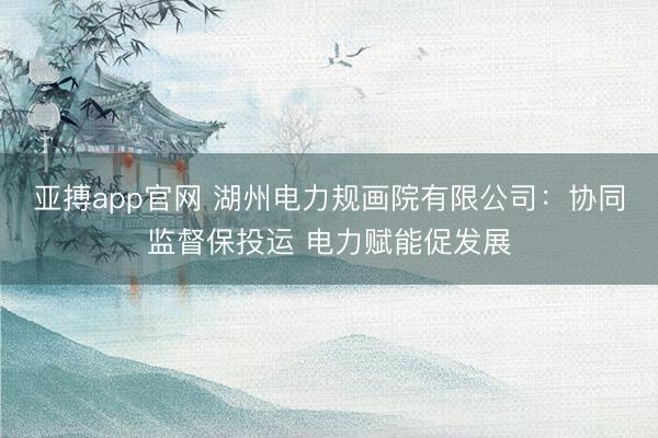 亚搏app官网 湖州电力规画院有限公司:协同监督保投运 电力赋能促发展