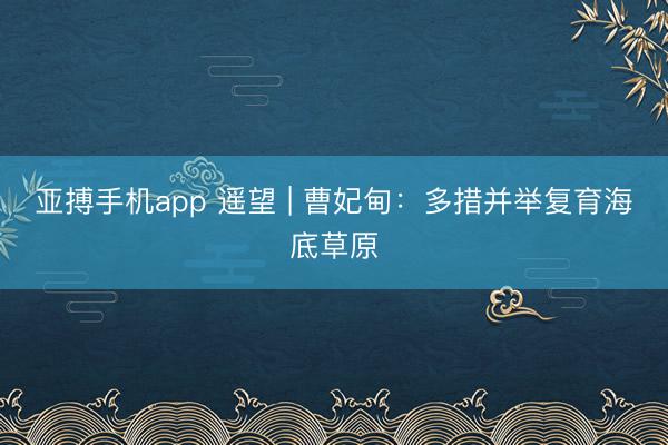 亚搏手机app 遥望 | 曹妃甸:多措并举复育海底草原