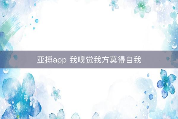 亚搏app 我嗅觉我方莫得自我