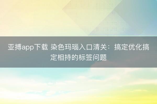 亚搏app下载 染色玛瑙入口清关：搞定优化搞定相持的标签问题