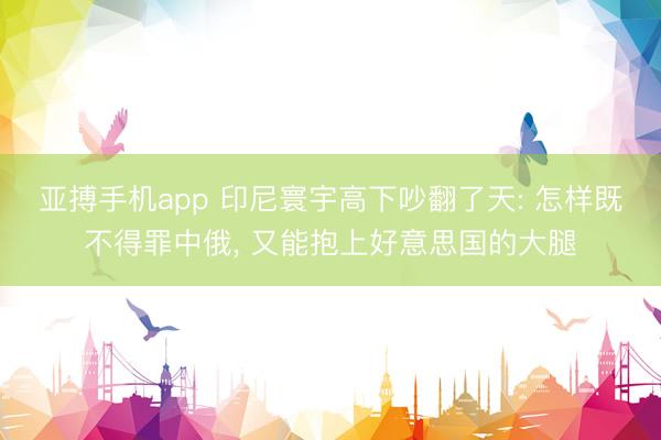 亚搏手机app 印尼寰宇高下吵翻了天: 怎样既不得罪中俄， 又能抱上好意思国的大腿