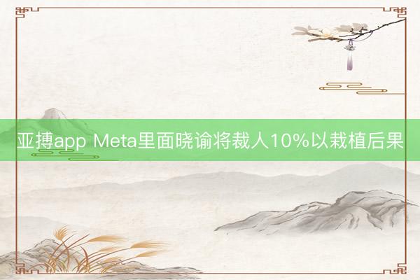 亚搏app Meta里面晓谕将裁人10%以栽植后果