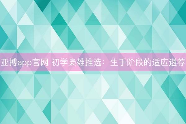 亚搏app官网 初学枭雄推选：生手阶段的适应遴荐