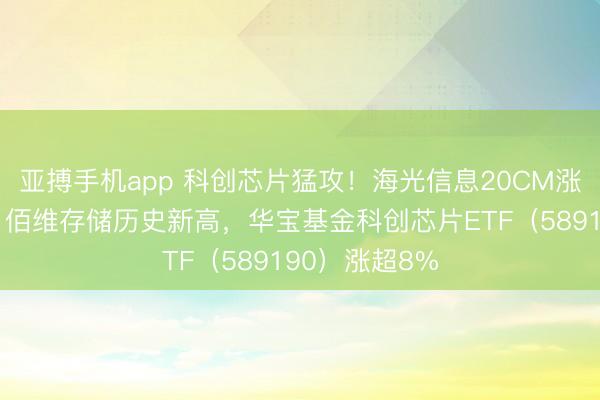 亚搏手机app 科创芯片猛攻！海光信息20CM涨停，寒武纪、佰维存储历史新高，华宝基金科创芯片ETF（589190）涨超8%
