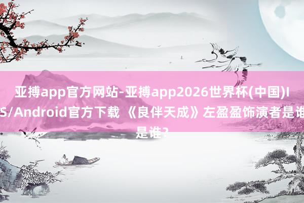 亚搏app官方网站-亚搏app2026世界杯(中国)IOS/Android官方下载 《良伴天成》左盈盈饰演者是谁？