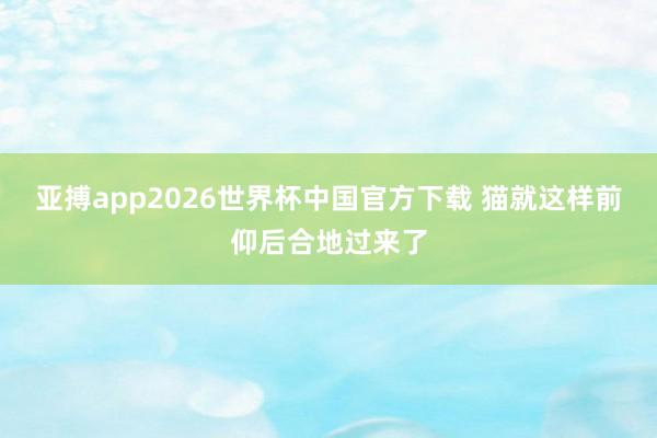 亚搏app2026世界杯中国官方下载 猫就这样前仰后合地过来了