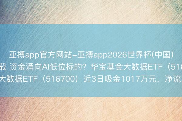 亚搏app官方网站-亚搏app2026世界杯(中国)IOS/Android官方下载 资金涌向AI低位标的？华宝基金大数据ETF（516700）近3日吸金1017万元，净流入每日攀升！