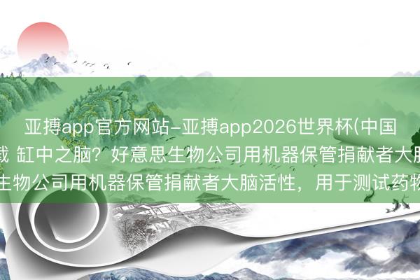 亚搏app官方网站-亚搏app2026世界杯(中国)IOS/Android官方下载 缸中之脑？好意思生物公司用机器保管捐献者大脑活性，用于测试药物