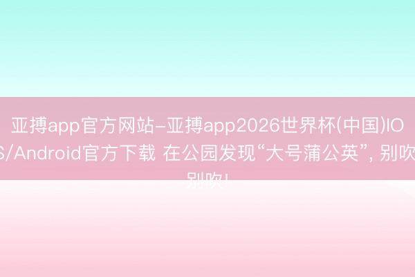 亚搏app官方网站-亚搏app2026世界杯(中国)IOS/Android官方下载 在公园发现“大号蒲公英”， 别吹!