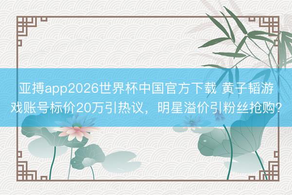 亚搏app2026世界杯中国官方下载 黄子韬游戏账号标价20万引热议，明星溢价引粉丝抢购？